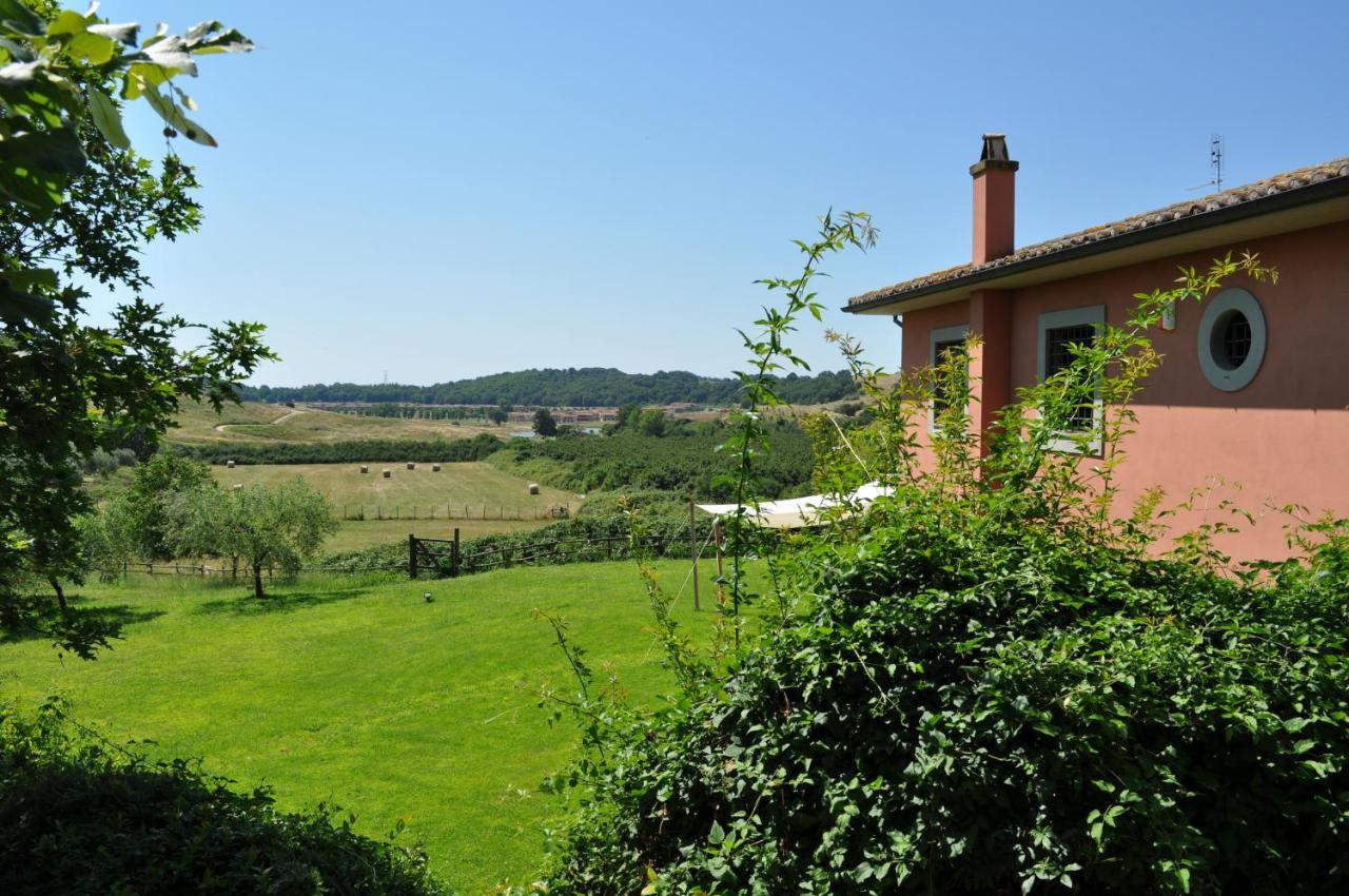 Casale Vicino Al Golf Nazionale Bed & Breakfast Monterosi Ngoại thất bức ảnh